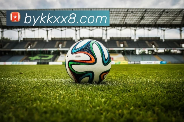 博源国际官网平台生态图