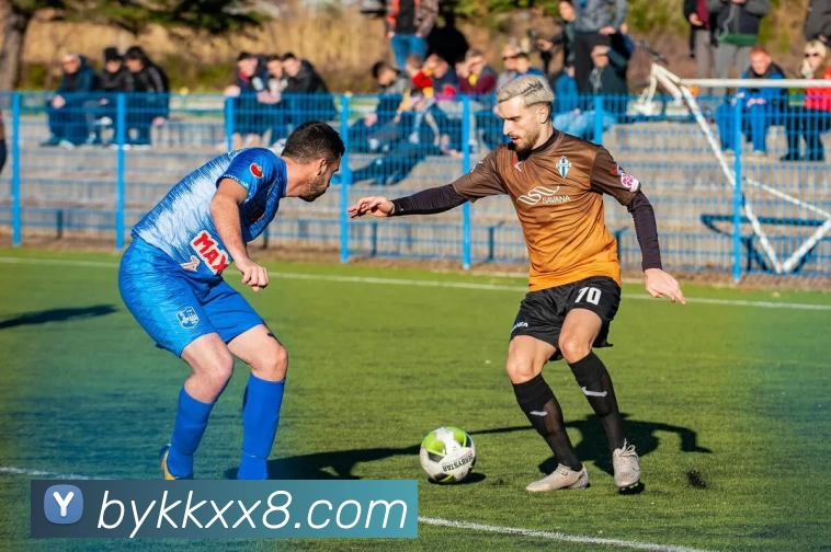 博源国际官网全站App